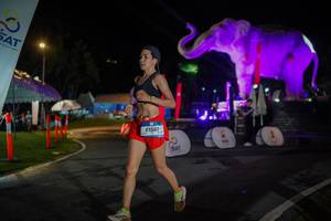 BIB: 
                            <button type="button" onclick="openModal(26552109)" class="btn btn-primary btn-sm float-right btn-popup" data-toggle="modal" data-target=".modal-high-quality">
                        <i class="fas fa-shopping-cart"></i> Add to Cart
                    </button>
                                            <button type="button" onclick="isThisMe(26552109, true)" class="btn btn-success btn-sm float-right btn-popup btn-isme hidden" data-toggle="tooltip" data-placement="bottom" title="นี่คือรูปของคุณใช่ไหม คลิกที่นี่เพื่อเอาเข้าอัลบั้ม">
                        <i class="fas fa-plus"></i> Add to album
                    </button>
                    <button type="button" onclick="isThisMe(26552109, false)" class="btn btn-warning btn-sm float-right btn-popup btn-isnotme hidden">
                        <i class="fas fa-ban"></i> Remove from album
                    </button>